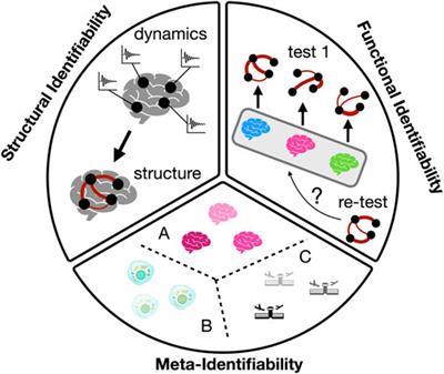 Identifiability of complex networks